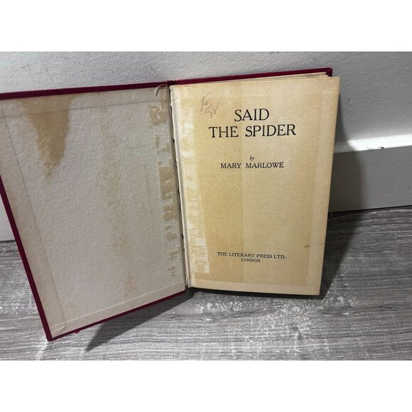 Said The Spider Book By Mary Marlowe Published By Literary Press Hardcover - Picture 2 of 5